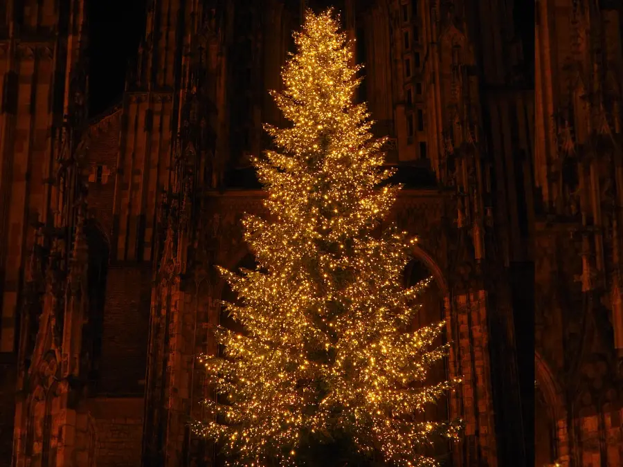 Walmart and Target recall 40,000 Christmas tree light controllers over fire hazards