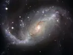 Experts reveal the truth about wishing on a star