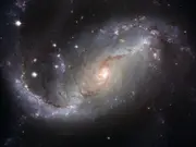 Experts reveal the truth about wishing on a star