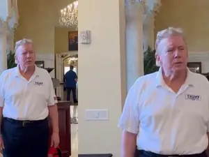 'Hat hair' or 'combed'? Trump's new hairstyle thrills netizens, triggers comparison with pop icons