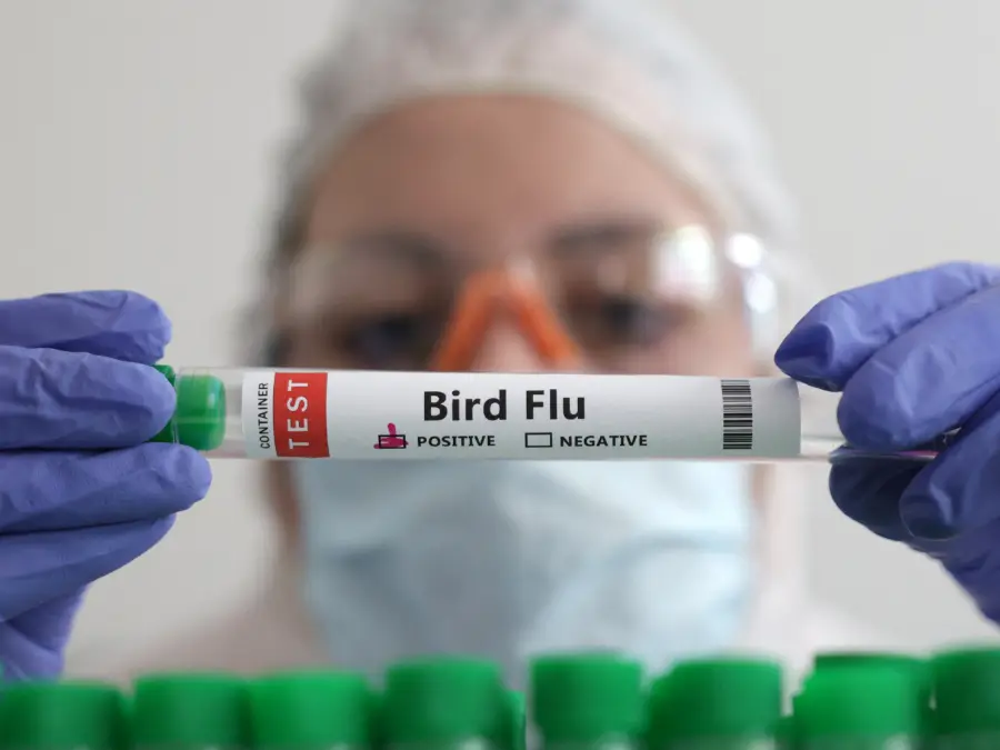 United States reports first severe case of bird flu in human, says CDC