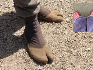 What are those?: Australian corporate worker roasted for wearing unusual shoes to office