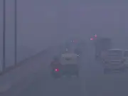 India: IMD issues cold wave and dense fog alerts for several northern states