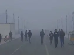 India: Delhi’s AQI remains 'very severe'; IMD predicts light rain, dense fog in coming days
