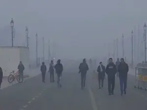 India: Delhi’s AQI remains 'very severe'; IMD predicts light rain, dense fog in coming days