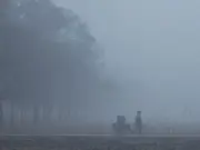 India: Fog patches, cold waves and 'severe AQI'; IMD issues orange alert for rain in northern part of country