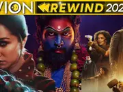 Stree's magic to Pushpa's rule: Movies that did wonders at Box Office in 2024