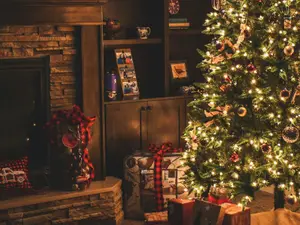 Christmas 2024: Wishes, messages, greetings, and quotes 