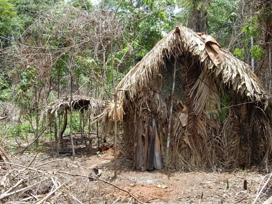Brazil's 'man of the hole' died but what about his land?