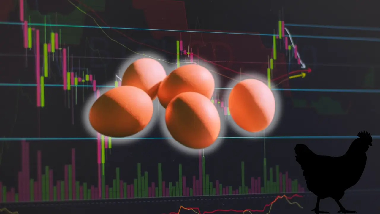 Around 100,000 eggs worth $40,000 stolen in US amid national egg shortage Around 100,000 eggs worth $40,000 stolen in US amid national egg shortage