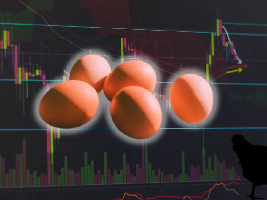 Around 100,000 eggs worth $40,000 stolen in US amid national egg shortage