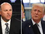 'Squeeze Chinese heads into wall now': Kevin O'Leary urges Trump to slap China with '400% tariffs' to make them negotiate