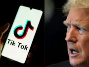 Trump urges US Supreme Court to pause TikTok ban ahead of inauguration