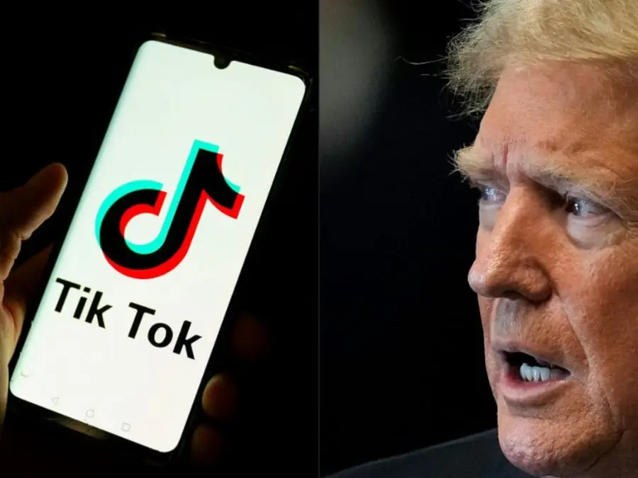 Trump urges US Supreme Court to pause TikTok ban ahead of inauguration