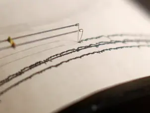 Pakistan hit by 4.6 magnitude earthquake, third in recent days amid rising Indo-Pak tensions
