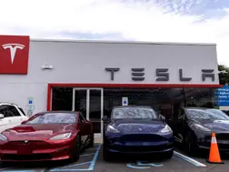 Can Tesla win in India's EV market?