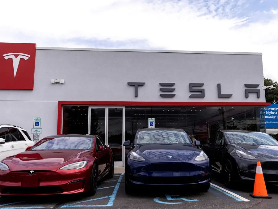 Can Tesla win in India's EV market?