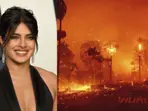 Los Angeles Wildfire: Priyanka Chopra shares video of LA fires as Hollywood celebs flee