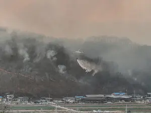 Three firefighters, one civilian killed in South Korea wildfire