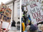 'Shame on you Trump': Americans gather for 'Hands Off' protest against US president, Musk; say 'don't be DOGE BAG'