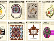 Eight more Kashmiri crafts granted prestigious Geographical Indication (GI) certificates