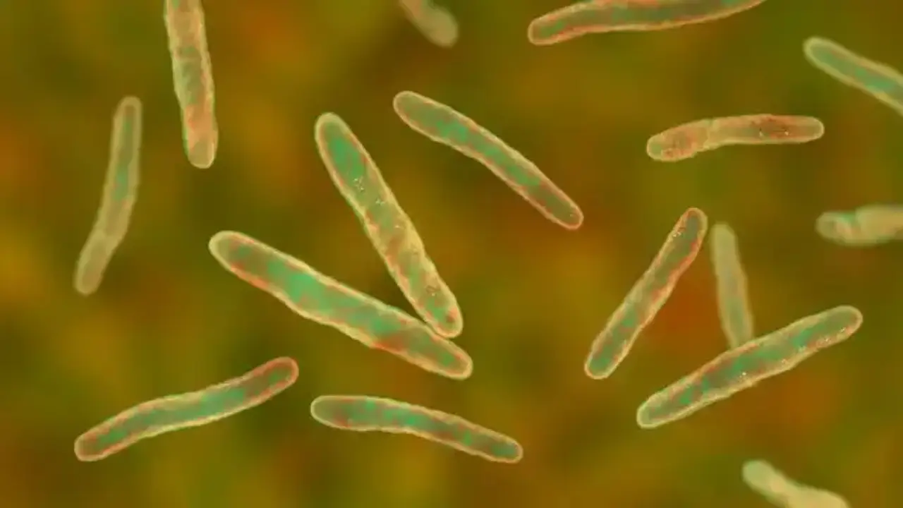 Big potential for biotech too