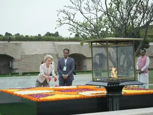 India to deepen collaboration with EU in tech, green energy: MEA officials