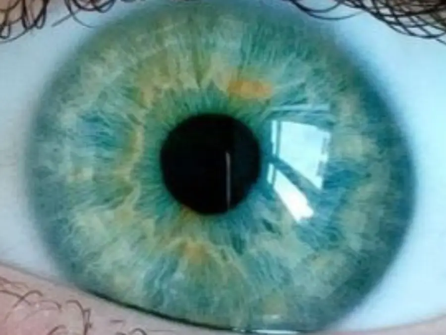 New Discovery By Scientists: What Is the New Colour 'Olo'?