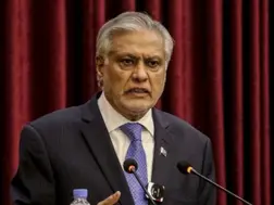 Pakistan Deputy PM Ishaq Dar calls Pahalgam terrorists 'freedom fighters' - VIDEO