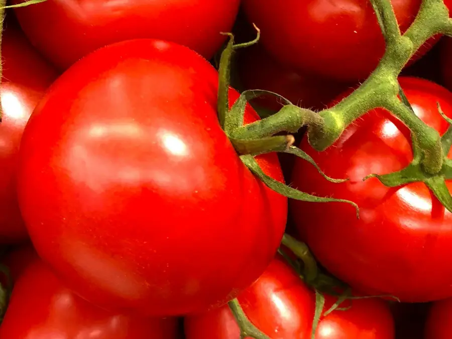 6 Tomato Recipes For Morning Breakfast