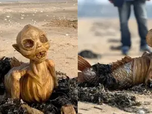 Alien or not? : Mysterious 'skeleton-like' creature washes ashore in UK
