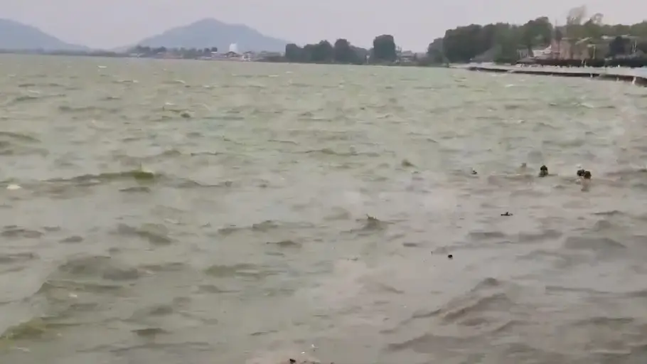 Shikara capsizes in Dal Lake, Srinagar, due to strong gusty winds | WATCH