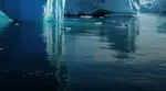 Is ice shifting from North to South Pole? Antarctica is gaining mass again, but Arctic tells a different story