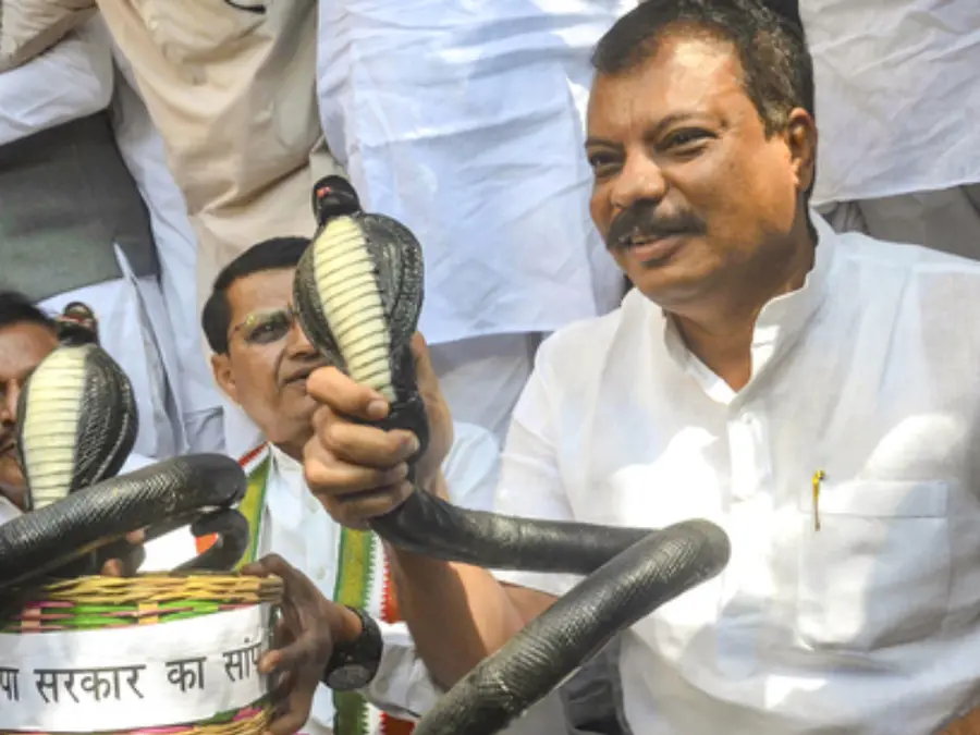 ‘Government sitting like a serpent’: Congress MLAs protest against BJP with plastic snakes