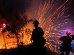 LA wildfires: Mayor rejected help from NY fire department amid crew shortages -  Report