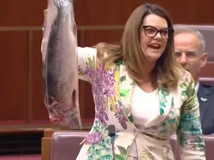 'Extinction salmon': Australian senator pulls out dead fish in parliament. Here's why