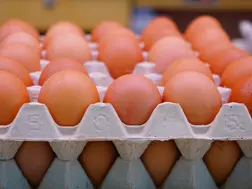 Egg vendor gets Rs 50 crore tax notice due to fraudulent use of PAN, Aadhar