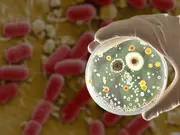 US government's BIG secret out: FDA kept deadly E. coli outbreak in 15 states hidden. Here's what caused it
