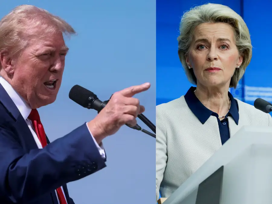 'No justification': EU slams Trump’s tariff plan on steel, aluminium - Here's how Europe can retaliate