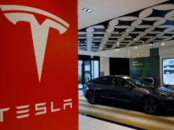 Elon Musk’s Tesla experiences first-ever annual sales decline