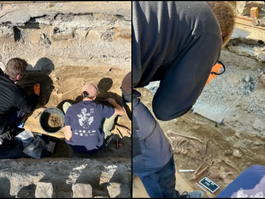 Over 800-year-old human skeletons discovered under busy Brussels street