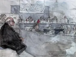 'Paedophile' ex-surgeon admits to 'hideous' crimes in largest child sexual abuse trial of France