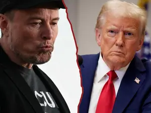 Musk ridicules funding viability of Trump's $500 billion AI project Stargate: 'Actually wasn't there'