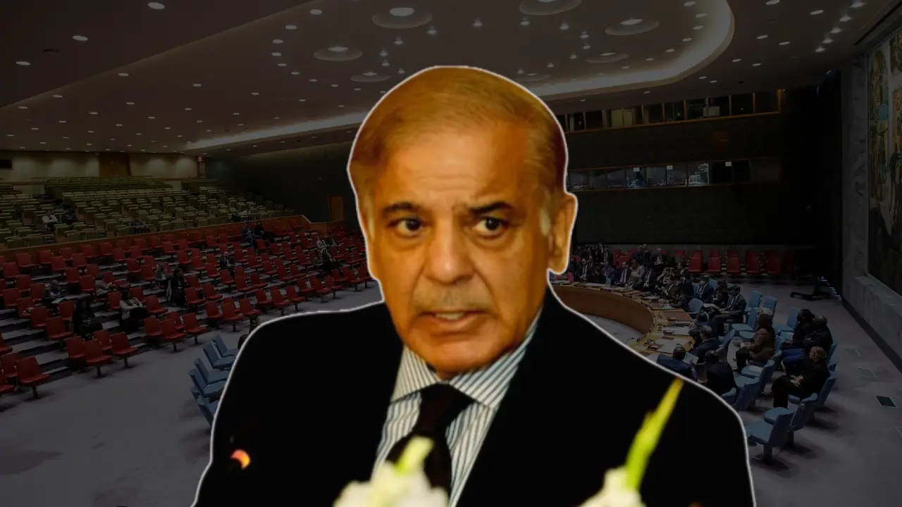 'Was LeT involved or not?’: Pakistan faces tough questions at UNSC meeting over Pahalgam attack, council rejects ‘false flag’ narrative