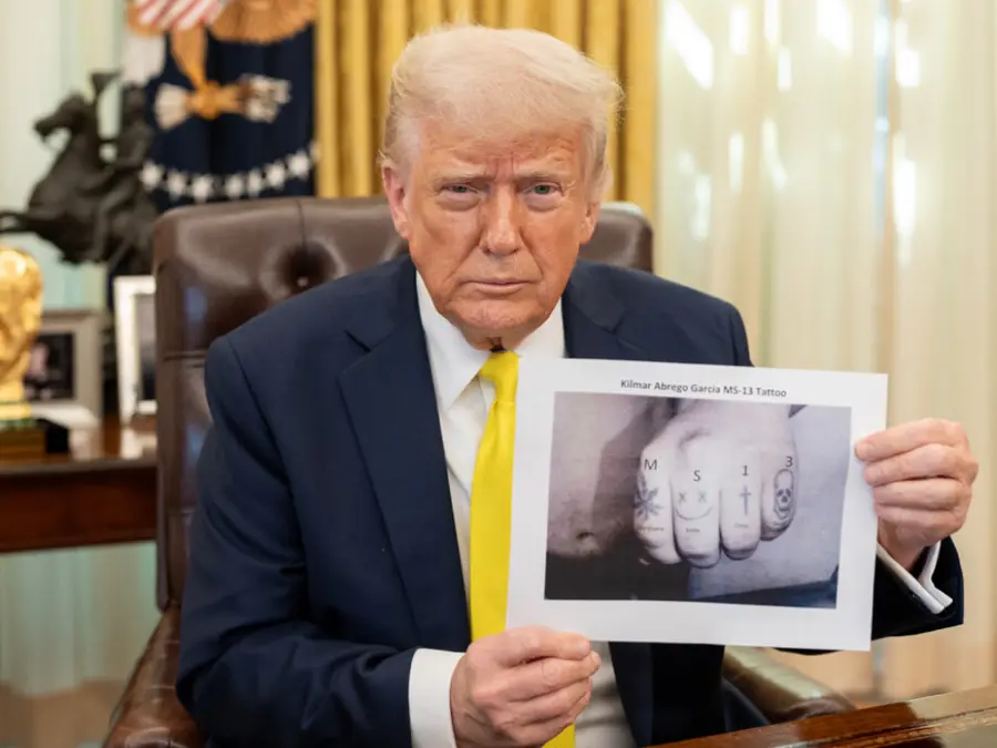 Trump admin using tattoos to 'identify' gang members, justify deporting migrants; experts slam method as 'too simplistic'