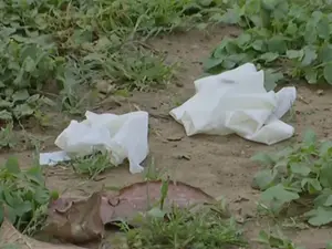 Two 17-year-olds found hanging from tree in Delhi’s Hauz Khas Deer Park