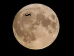No, humans did not really change Moon's temperatures during Covid lockdown: Study