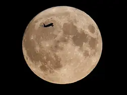 In a first, Moon is now threatened heritage site: World Monuments Fund explains why