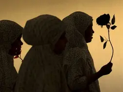 Difference Between Niqab, Hijab, Burqa, and More