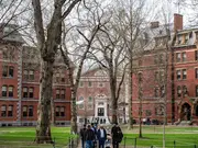 Harvard research programs get "stop work orders" after $2.2 billion funding freeze